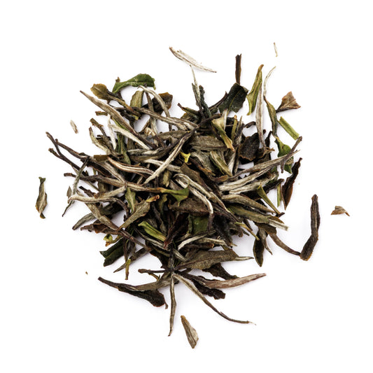 白牡丹 | Bai Mu Dan (White Peony)